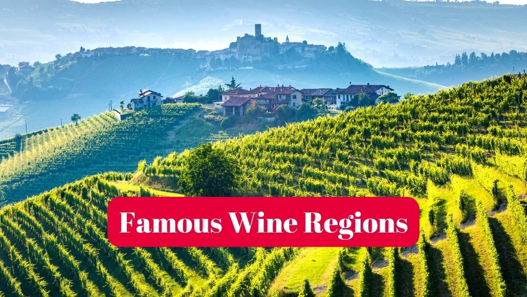 Famous Wine Regions