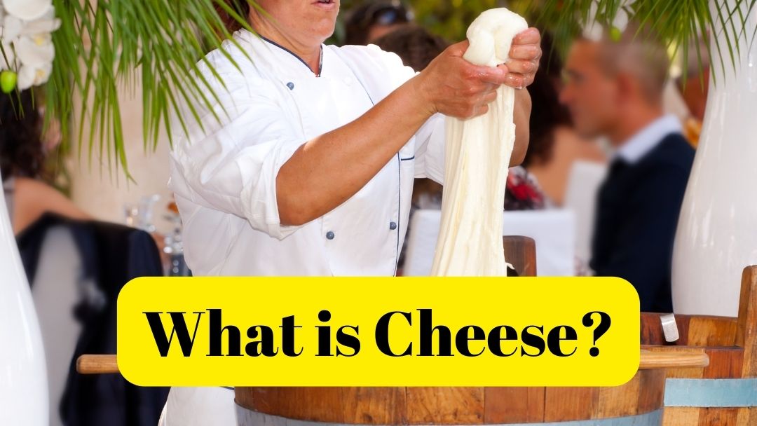 A Guide to Types of Cheese: What Is Cheese, How Cheese Is Made, Cheese Tasting