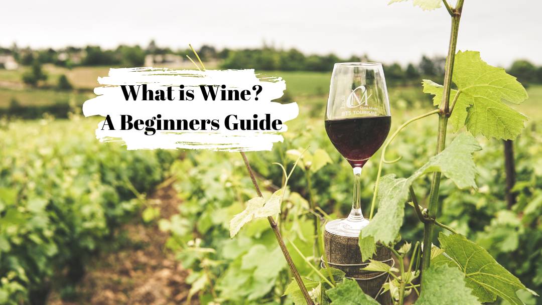 What Is Wine: A Beginners Guide